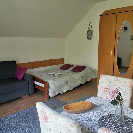 Apartamenty Grosik Krynica Zdroj Room photo
