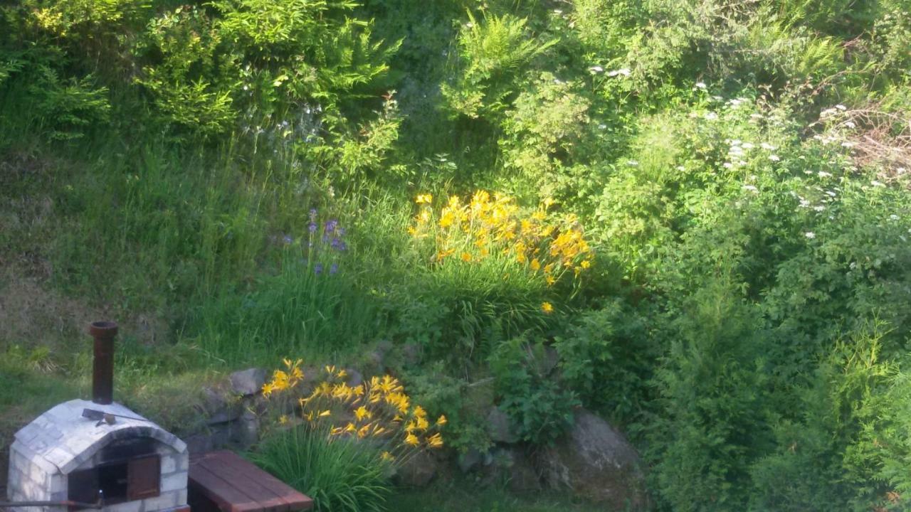 Grosik Homestay Krynica Zdroj